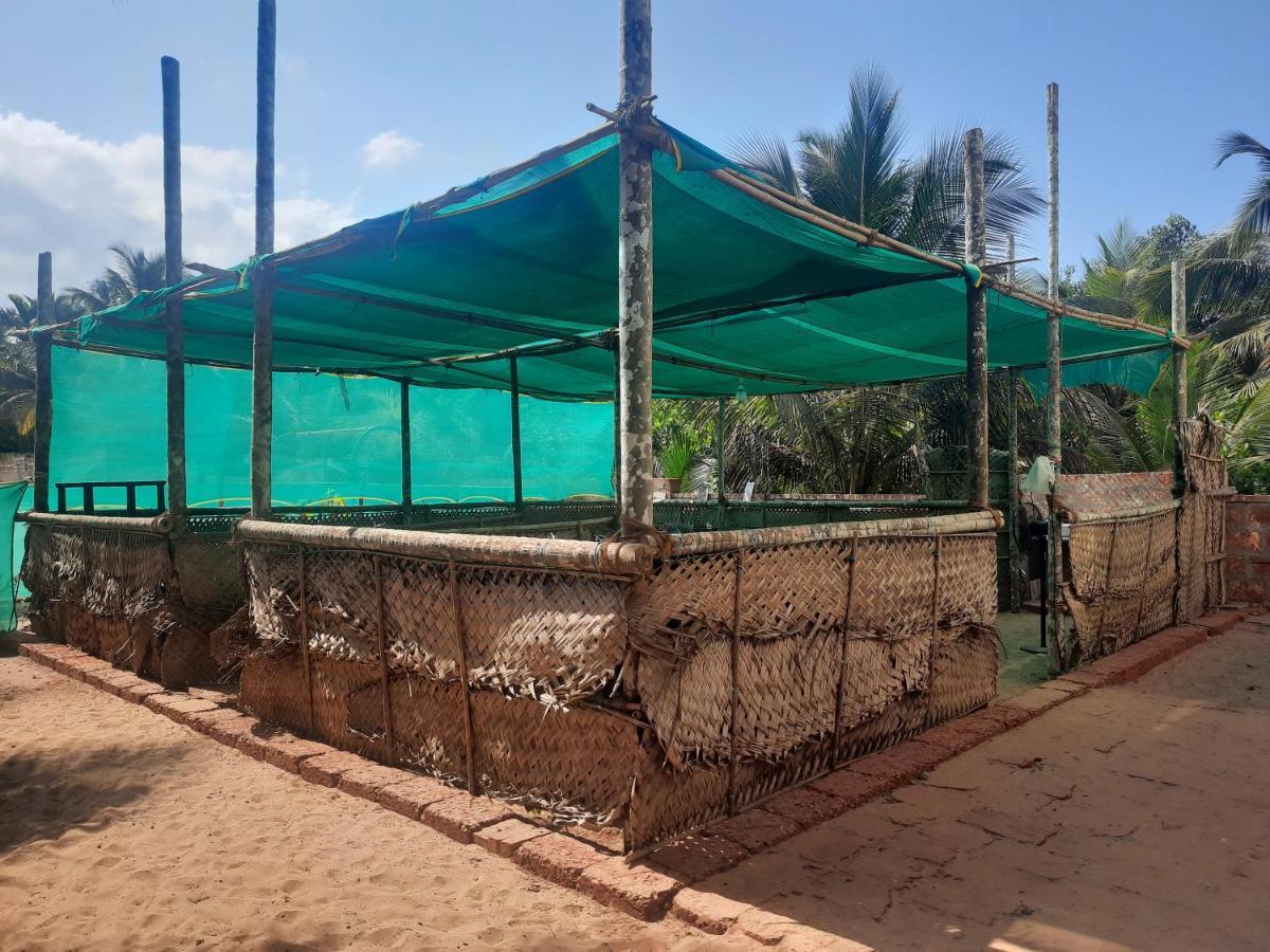 Mālvan Raapan Beach Resort מראה חיצוני תמונה